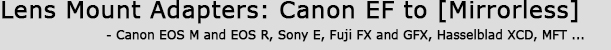 Adapting Canon EF Lenses To Various Mirrorless Compact Camera Systems - Canon EOS Technoclopedia